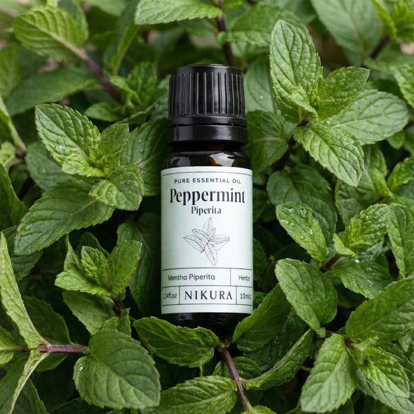 Peppermint Piperita Essential Oil – 10ml