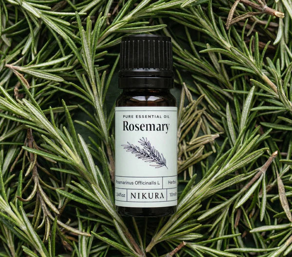 Rosemary Essential Oil – 10ml