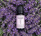 French Lavender Essential Oil – 10ml