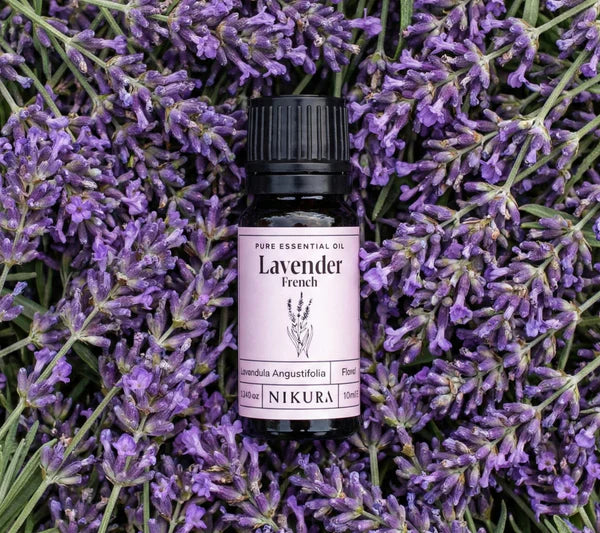 French Lavender Essential Oil – 10ml